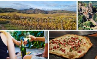 Que faire en Alsace