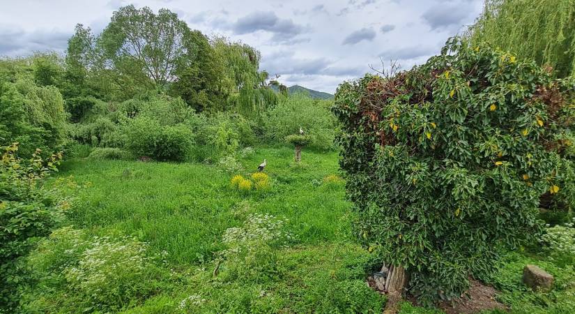 Le Naturoparc
