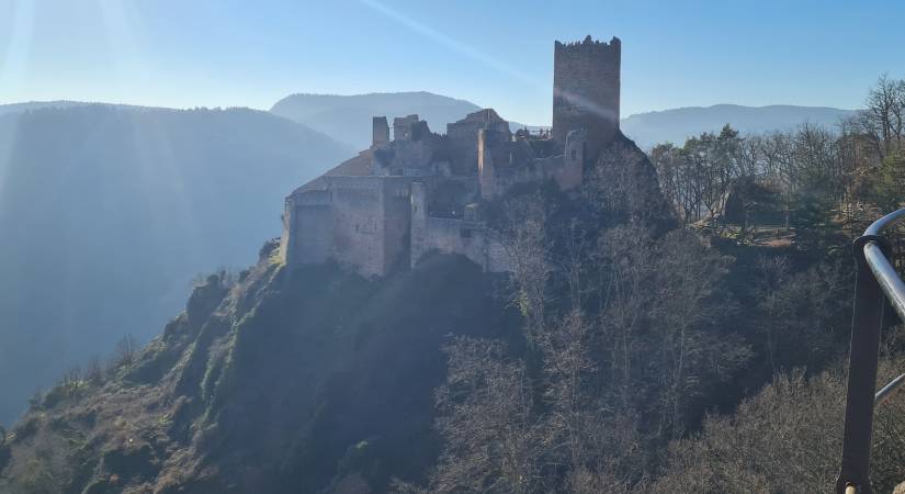 The 3 castles of Ribeauvillé