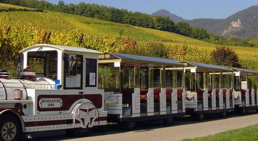 bus touristique et petit train
