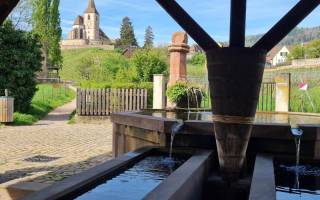 Der Brunnen im Waschhaus von Hunawihr