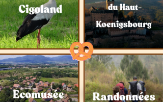 Séjour Printanier en Alsace