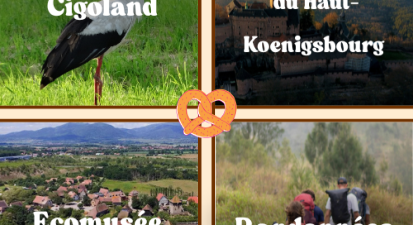 Spring break in Alsace