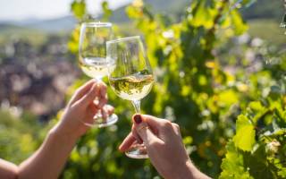 Balade, Dégustation et Détente en Alsace