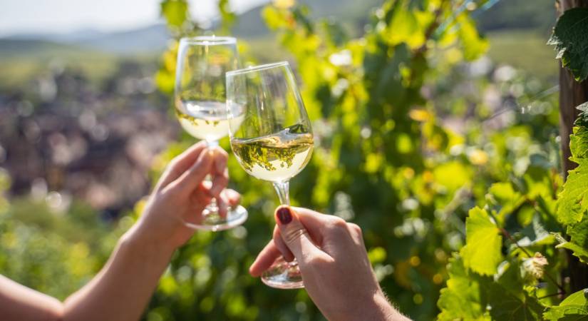 Balade, Dégustation et Détente en Alsace