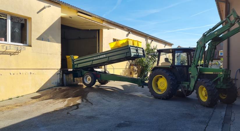 Vendanges 2021