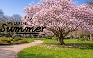 Printemps en Alsace : visites, randonnées et vins autour de Hunawihr et Ribeauvillé