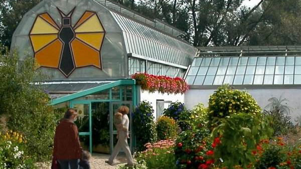 Jardin des papillons