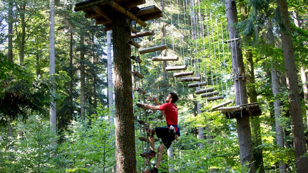 Parc Aventure
