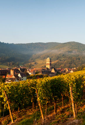 Visitez l'alsace