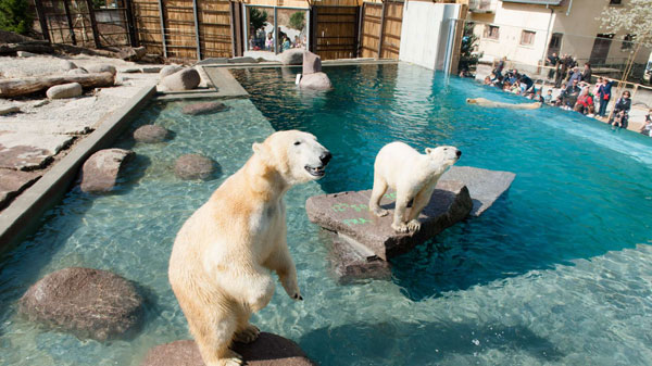 Zoo Mulhouse